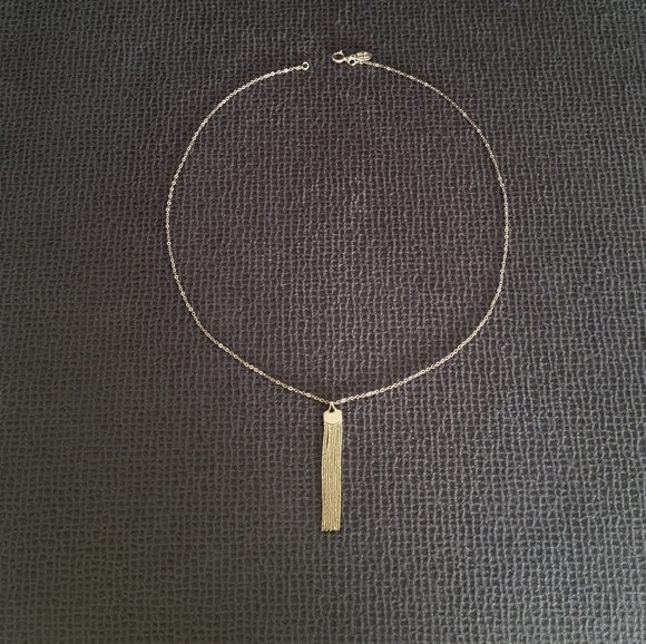 Silver🤍 Wren🪶 Dainty Gold💛 Tassel Necklace - Picture 11 of 12